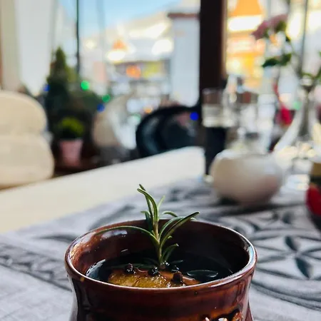 Harenda 3* ザコパネ